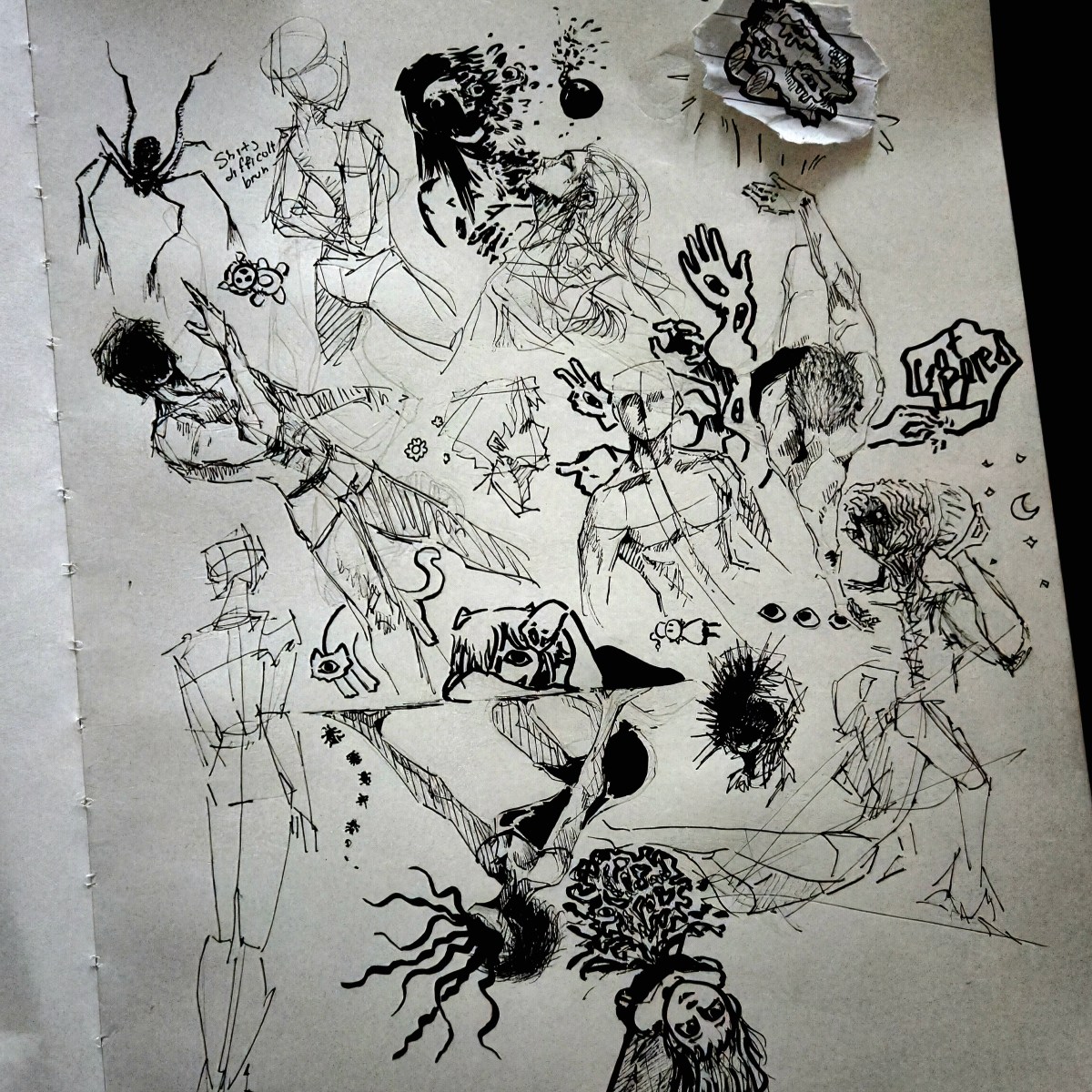 feb 2026 Doodles