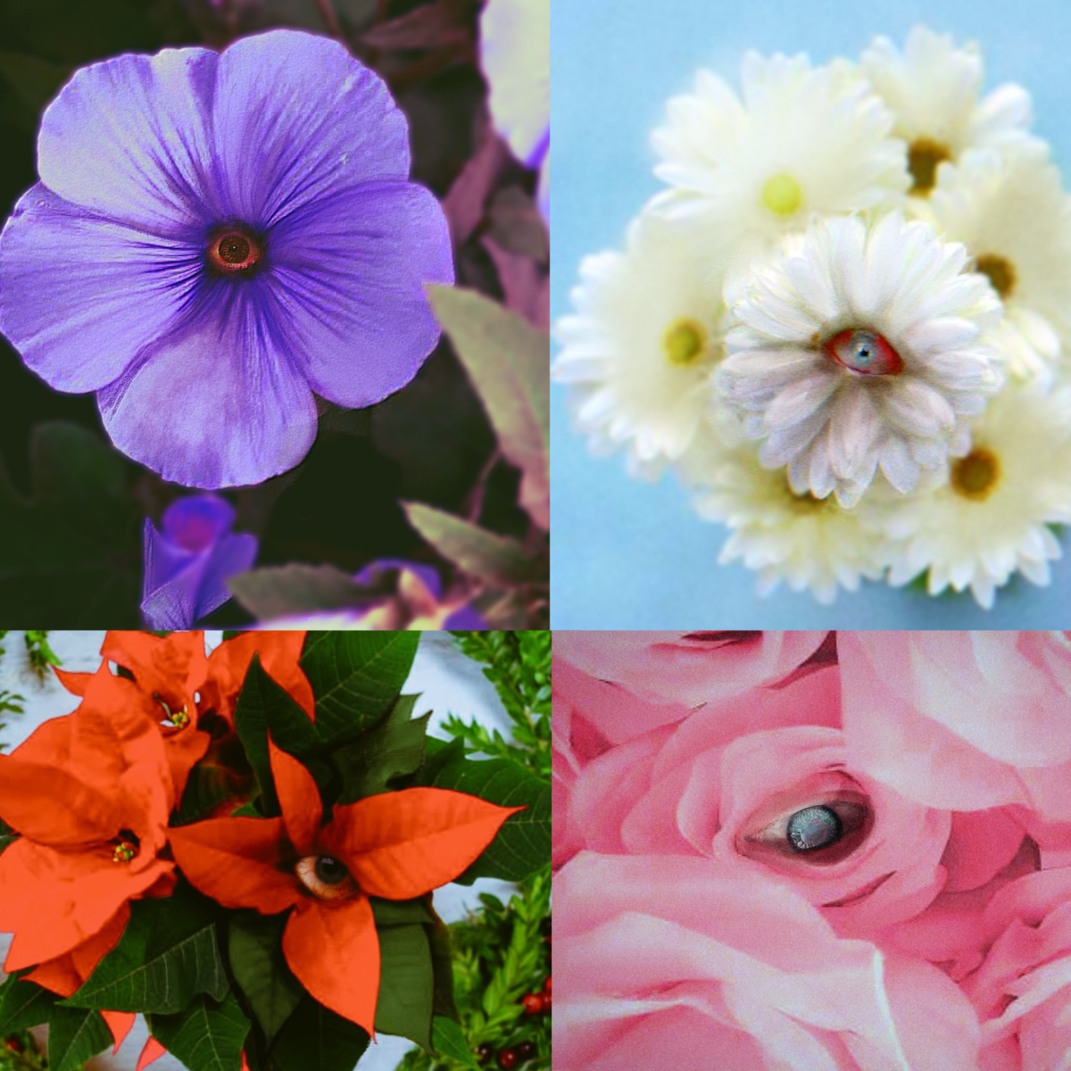 (ENG) EYEFLOWER