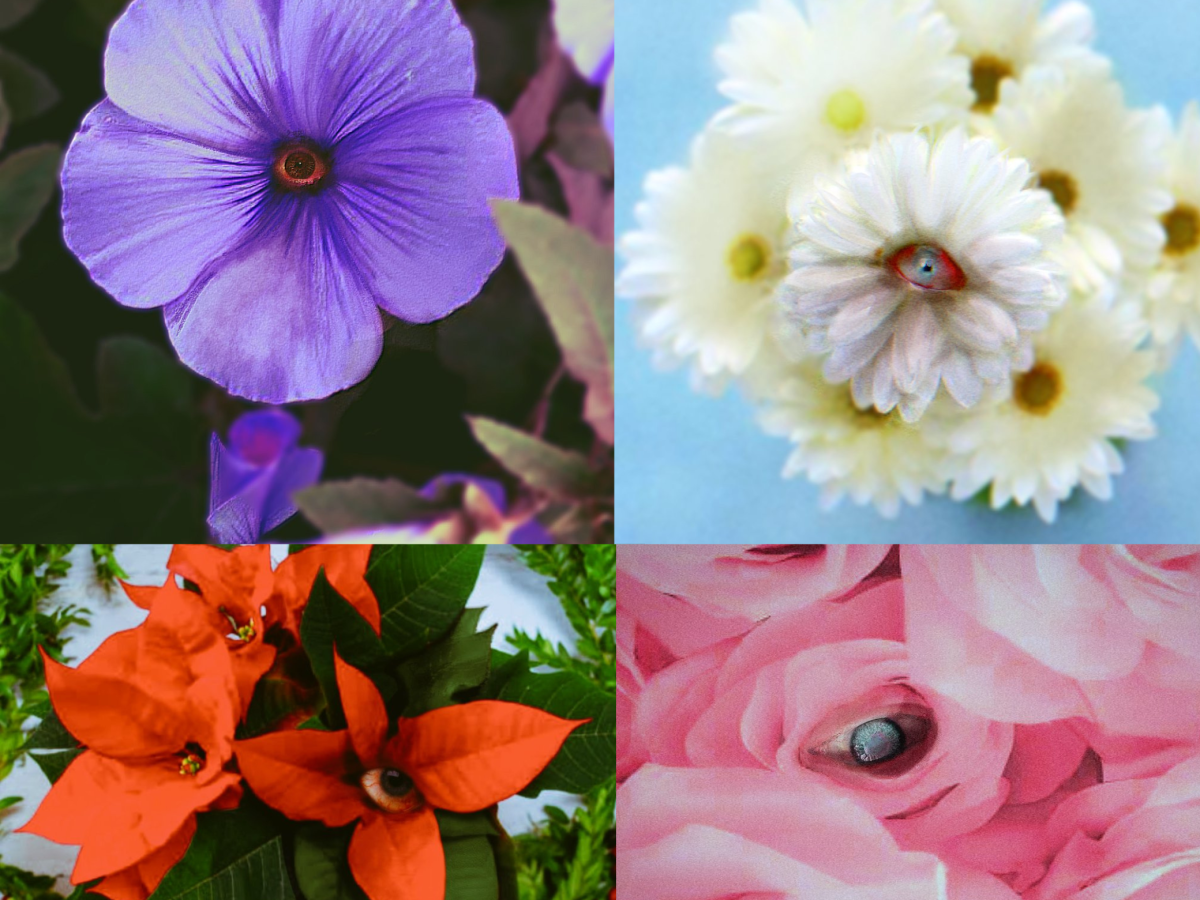 (ENG) EYEFLOWER